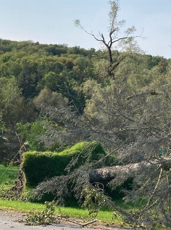More Springwater tornado damage!